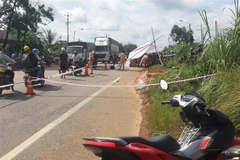 (Ảnh chỉ có tính minh họa: Đậu Tất Thành/TTXVN)