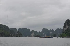 Tàu thuyền trên Vịnh Hạ Long. (Ảnh minh họa: Thanh Vân/TTXVN)