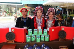 Nhiều sản phẩm chè Shan tuyết tiêu biểu của Hà Giang được trưng bày, giới thiệu tại "Không gian trưng bày sản phẩm tiêu biểu vùng Đông Bắc". (Ảnh: Minh Tâm/TTXVN)