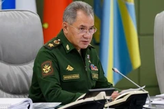 Bộ trưởng Quốc phòng Nga Sergei Shoigu. (Nguồn: Sputnik)