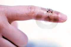 Những thiết bị này có kích thước nhỏ, dài khoảng 2cm và 5cm. (Nguồn: sciencenews.org)