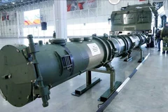 Novator 9M729. (Nguồn: ndtv.com)