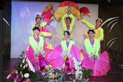 (Ảnh: Anh Đức/Vietnam+)