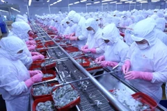 Thủy sản là một trong các mặt hàng xuất khẩu tăng trưởng mạnh nhất của Việt Nam trong những năm đổi mới. (Ảnh: Vũ Sinh/TTXVN)