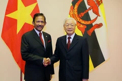 Tổng Bí thư, Chủ tịch nước Nguyễn Phú Trọng đón Quốc vương Brunei Hassanal Bolkiah. (Ảnh: Dương Giang/TTXVN)