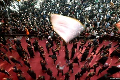 Những người hành hương Hồi giáo Shi'ite tại lễ tưởng niệm Arbaeen ở Karbala năm 2018. (Nguồn: en.radiofarda.com)