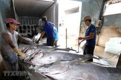 (Ảnh: Vũ Sinh/TTXVN)