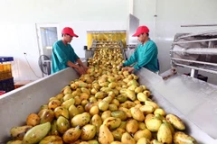 [Video] Việt Nam-Chile: Mối quan hệ hữu nghị và hợp tác toàn diện