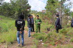 Lực lượng chức năng đưa hai đối tượng thực nghiệm tại hiện trường. (Ảnh: Đặng Tuấn/TTXVN)