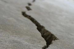 Ảnh minh họa. (Nguồn: radionz.co.nz)