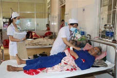 Bệnh nhân sốt xuất huyết đang được điều trị. (Ảnh: Hoài Nam/TTXVN)