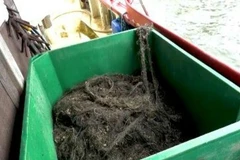 Những tấm ''lưới ma'' được tìm thấy trên biển. (Nguồn: information.tv5monde.com)