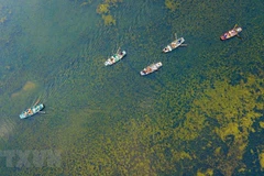 [Video] Mê mẩn trước vẻ đẹp tựa tiên cảnh của mùa Thu Tam Cốc