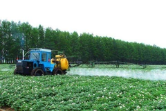 Ảnh minh họa. (Nguồn: nknews.org)