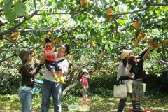 Cần Thơ phát triển du lịch sinh thái cộng đồng theo hướng bền vững