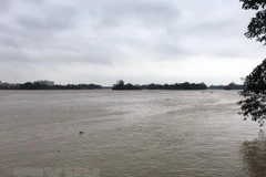 (Ảnh minh họa: Quốc Việt/TTXVN)