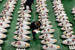 Hình ảnh khu chợ cá nổi tiếng Tsukiji khi còn mở cửa. (Nguồn: AFP)