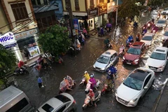 (Ảnh: Thanh Tùng/TTXVN)