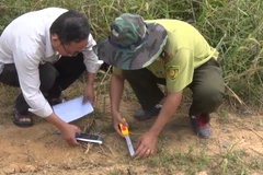 Đắk Nông bác bỏ tin hổ xuất hiện gần hang động núi lửa Krông Nô