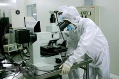 (Ảnh: Tiến Lực/TTXVN)