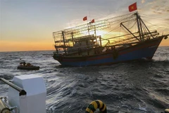 Các tàu cá phối hợp tìm kiếm cứu nạn. (Ảnh: Hoàng Ngọc/TTXVN)