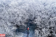 [Photo] Phong cảnh quê hương tuyệt đẹp nhìn từ trên cao