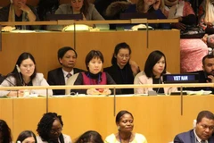 Đoàn Việt Nam tham dự phiên khai mạc khóa họp thường kỳ thứ 63 của Ủy ban Địa vị Phụ nữ Liên hợp quốc (CSW). (Ảnh: Nguyễn Thanh/TTXVN)