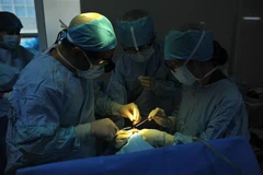 (Ảnh minh hoạ. Minh Đức/TTXVN)