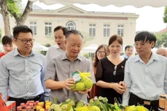 (Ảnh: Phương Anh/TTXVN)