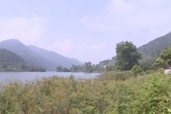 Một góc hồ Đồng Đò thôn Minh Tân, Minh Trí, Sóc Sơn Hà Nội. (Ảnh: Mạnh Khánh/TTXVN)