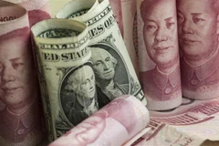 Đồng nhân dân tệ và đồng USD tại một ngân hàng ở Bắc Kinh, Trung Quốc. (Ảnh: AFP/TTXVN)