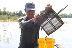 Trải nghiệm một ngày mùa nước nổi cùng ngư dân Đồng Tháp