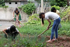 Đắk Lắk: Hai đối tượng mua bán người bị tuyên phạt 24 năm tù 