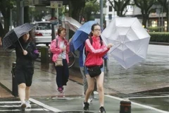 Người dân di chuyển dưới trời mưa do ảnh hưởng của bão Krosa tại Miyazaki, Tây Nam Nhật Bản, ngày 14/8/2019. (Ảnh: Kyodo/TTXVN)