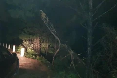 Lâm Đồng: Ôtô bán tải lao xuống hồ Suối Vàng, một người tử vong