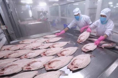 Chế biến cá tra xuất khẩu tại nhà máy của Công ty Cổ phần Đầu tư & Phát triển Đa Quốc Gia IDI (Tập đoàn Sao Mai). (Ảnh: Vũ Sinh/TTXVN)