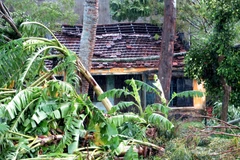 Lốc xoáy làm nhiều nhà dân bị tốc mái, cây cối ngã đổ. (Ảnh: Phước Ngọc/TTXVN)