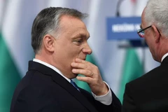Thủ tướng Hungary Viktor Orban. (Nguồn: AFP)