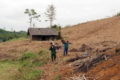 Người dân xã Trung Yên (Sơn Dương, Tuyên Quang) thu hoạch vụ mía 2018-2019. (Ảnh: Quang Đán/TTXVN)