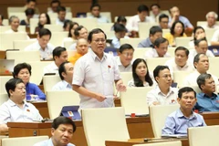 Đại biểu Quốc hội tranh luận. (Ảnh: Doãn Tấn/TTXVN)