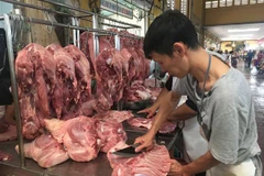 (Ảnh: Mỹ Phương/TTXVN)