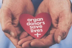 Ảnh minh họa. (Nguồn: tehrantimes.com)