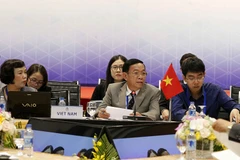 Đại diện Đoàn Việt Nam phát biểu tại cuộc họp. (Ảnh: TTXVN)