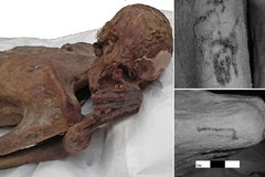 Các hình xăm đặc biệt trên hai xác ướp. (Nguồn: Daily Mail)