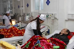 (Ảnh: Thanh Tùng/TTXVN)