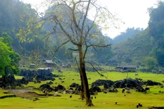 [Mega Story] Lòng chảo Hang Táu: Nơi ấy bình yên