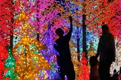 [Photo] Rực rỡ ánh đèn đón Giáng sinh trên khắp thế giới