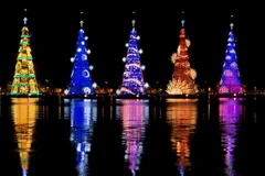 [Photo] Cây thông Noel khổng lồ thắp sáng nhờ 3,1 triệu bóng đèn LED