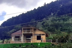 Biệt thự gỗ xây dựng trái phép trong khu vực đất rừng có chủ. (Ảnh: Nguyễn Dũng-Quốc Hùng/TTXVN)