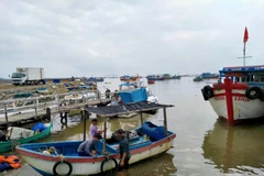 Tàu, thuyền của ngư dân neo đậu tránh bão tại cảng Vạn Giã, tỉnh Khánh Hòa. (Ảnh: Thanh Vân/TTXVN)